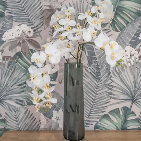 Patricia Appartement